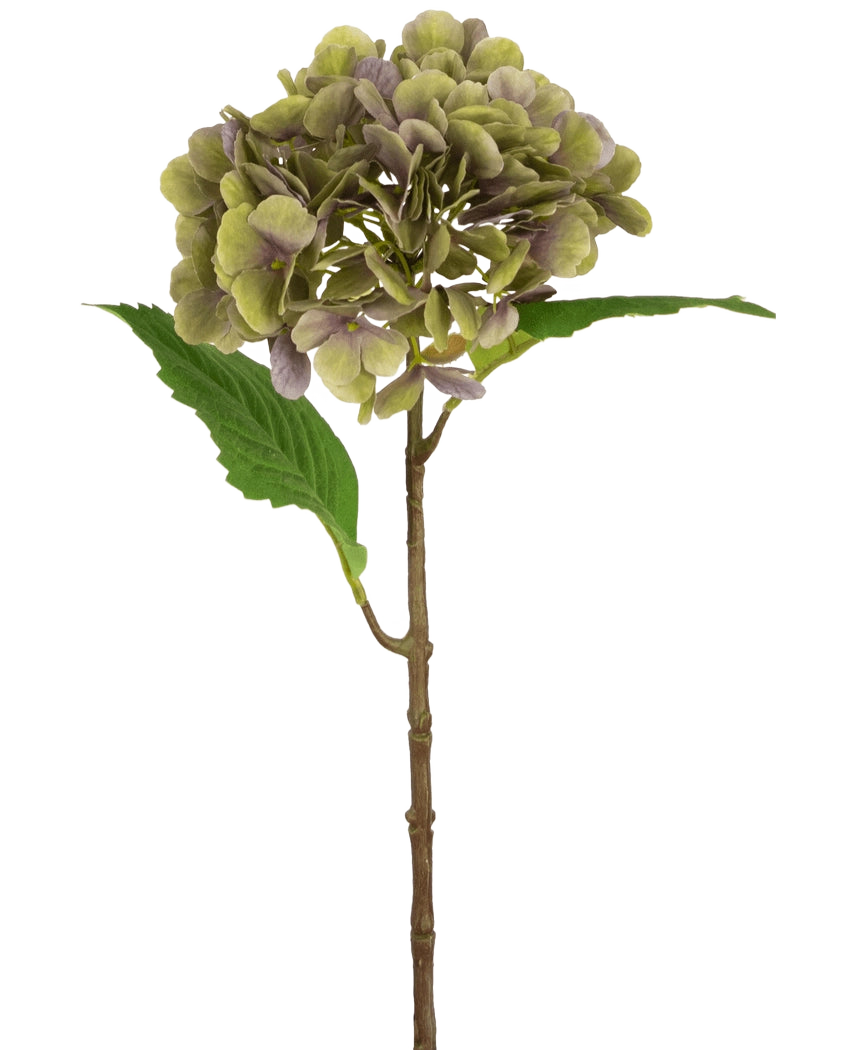 La Hortensia Artificial Deluxe 55 cm verde/morado tiene un único tallo de hortensia artificial con pétalos verdes y morados y dos hojas verdes sobre un fondo blanco liso.