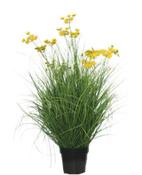 La planta de césped artificial Asteraceae ignífuga de 90 cm tiene hojas largas y delgadas parecidas a la hierba y racimos de pequeñas flores de color amarillo brillante en tallos largos, sobre un fondo blanco liso.