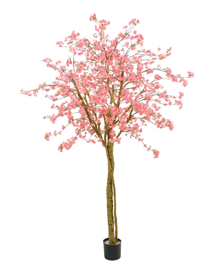 El árbol de cerezo artificial rosa de 240 cm tiene flores rosas, ramas marrones y una maceta negra sobre un fondo blanco liso.