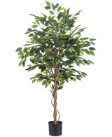 De Kunstplant Ficus 150 cm brandvertragend heeft overvloedige groene bladeren en gedraaide bruine stammen in een kleine zwarte pot, een mix van natuurlijke stijl met vlamvertragende veiligheid op een witte achtergrond.