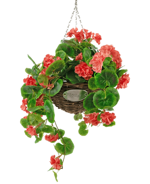 La Begonia Artificial Rosa en Cesta UV 70 cm es una cesta de mimbre colgante con exuberantes hojas verdes y vibrantes flores de begonia rosa coral, suspendidas de una cadena plateada sobre un fondo blanco.
