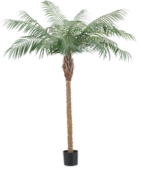 Palmera Datilera artificial Deluxe 180 cm