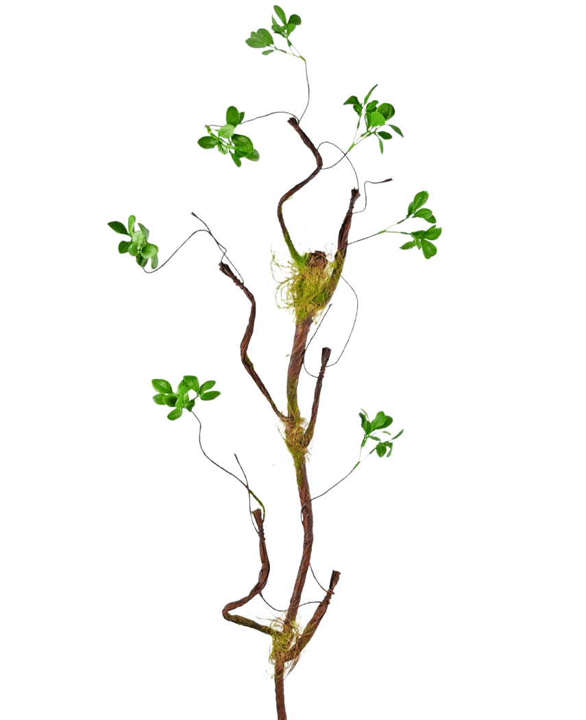 La rama artificial Enkianthus 100 cm verde, una esbelta enredadera artificial con pequeñas hojas verdes y toques de musgo, se alza sobre un fondo blanco liso.