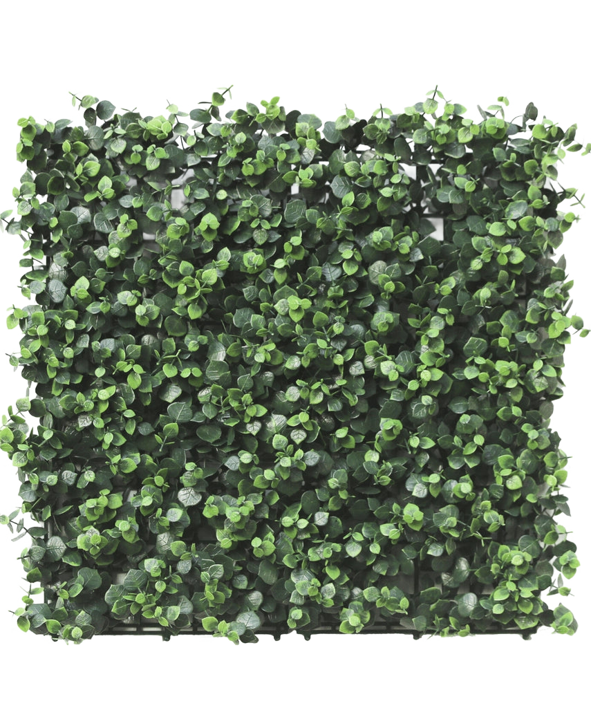 El seto artificial Eucalipto 50x50 cm UV es un panel cuadrado con hojas densas, pequeñas y redondas de eucalipto artificial, densamente empaquetadas para una apariencia vibrante y natural, perfecto para crear exuberantes jardines verticales o paredes decorativas en interiores o exteriores.