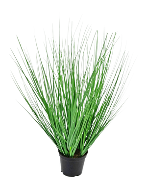 La Planta de Césped Artificial Cebolla ignífuga de 50 cm tiene hojas largas, delgadas y verdes que se extienden hacia afuera desde el centro y se presentan en una maceta sobre un fondo blanco liso.