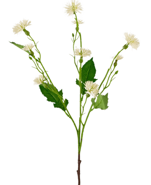 La flor artificial Daisy Spray 54 cm rayo blanco tiene un único tallo verde con racimos ramificados de pequeñas flores blancas parecidas a margaritas y hojas verdes irregulares, sobre un fondo blanco liso.