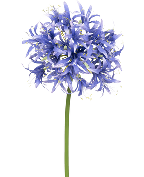 Una flor artificial Nerine de 70 cm de color violeta con muchas pequeñas flores violetas en forma de estrella en un racimo esférico sobre un largo tallo verde, sobre un fondo blanco liso.