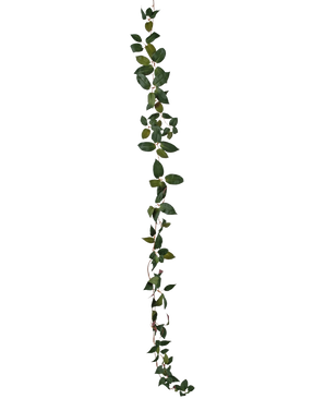 La guirnalda Art Tradescantia verde de 180 cm es una enredadera de una sola hoja verde representada verticalmente sobre un fondo blanco liso.
