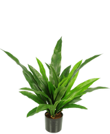 La Planta Artificial Bird's Deluxe 60 cm es una planta de interior en maceta verde con hojas largas, estrechas y puntiagudas en una maceta negra sobre un fondo blanco liso.