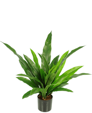 La Planta Artificial Bird's Deluxe 60 cm es una planta de interior en maceta verde con hojas largas, estrechas y puntiagudas en una maceta negra sobre un fondo blanco liso.