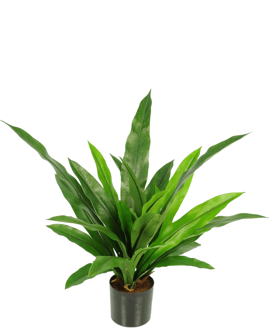 La Planta Artificial Bird's Deluxe 60 cm es una planta de interior en maceta verde con hojas largas, estrechas y puntiagudas en una maceta negra sobre un fondo blanco liso.