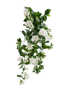 De Kunst hangplant Petunia 70 cm wit heeft groene bladeren en witte trompetvormige bloemen in een trapsgewijs wijnstokachtig ontwerp, tegen een effen witte achtergrond.