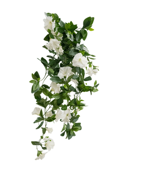 La planta colgante artificial Petunia 70 cm blanca tiene hojas verdes y flores blancas en forma de trompeta en un diseño en forma de enredadera en cascada, sobre un fondo blanco liso.