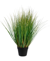 El Bonsái de Césped Artificial Cebolla con maceta es una planta de césped artificial ignífugo de 70 cm de altura con largas hojas verdes en una maceta negra, sobre un fondo blanco liso.