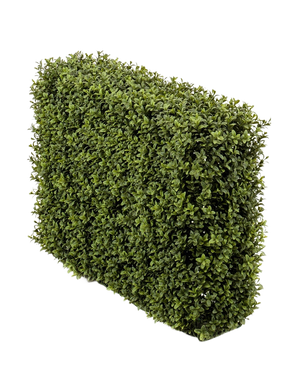 De Kunst Buxushaag UV 70x20x50 cm, een dichte groene rechthoekige haag met kleine blaadjes, wordt getoond in een UV-beschermde kunststof plantenbak tegen een effen witte achtergrond.