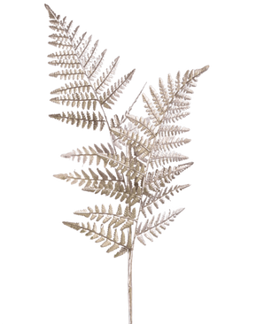 Een enkele Kunsttak Asparagus 125 cm zilver, met lichtbruine gedroogde varenachtige stengels met fijne, vederlichte blaadjes, tegen een effen witte achtergrond.