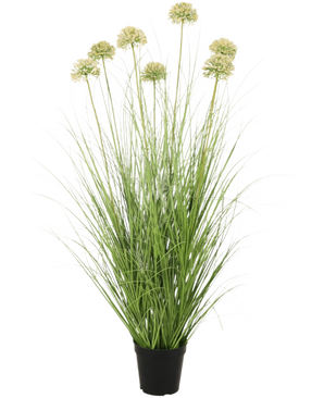 De Kunst Grasplant Ui 90 cm brandvertragend heeft lange, slanke groene bladeren en hoge stelen met ronde, lichtgroene trossen. Deze vlamvertragende kunstplant voegt blijvend groen toe aan elke ruimte.