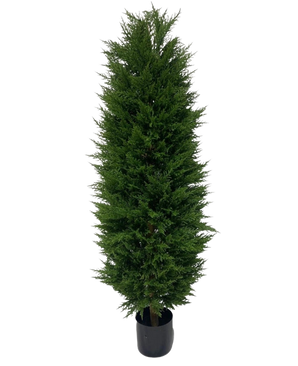 La planta artificial Conífera UV 180 cm es un árbol artificial de hoja perenne, alto y estrecho, con hojas densas de color verde oscuro, representadas sobre un fondo blanco.
