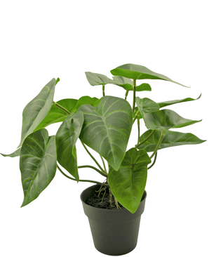 De Kunstplant Swan 27 cm is een potplant met grote, hartvormige groene bladeren met prominente lichtgekleurde nerven, in een eenvoudige zwarte pot tegen een effen witte achtergrond.