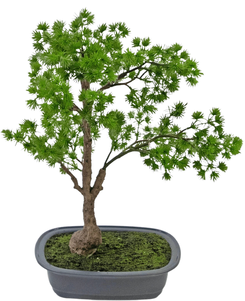 La planta artificial Bonsái Enebro de 40 cm tiene un tronco esbelto y hojas verdes exuberantes y se encuentra en una maceta gris rectangular poco profunda con musgo. El fondo es completamente blanco.