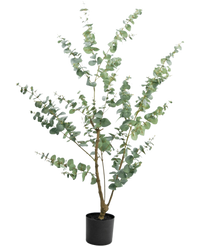 Planta artificial Eucalipto 150 cm