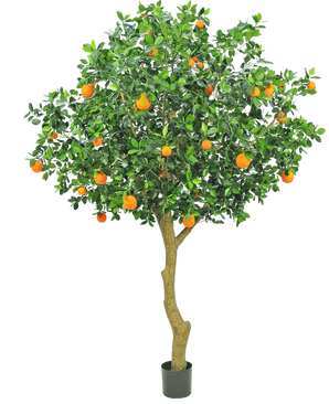 El Naranjo Artificial de 275 cm tiene un tronco esbelto, densas hojas verdes y frutos de color naranja vibrante, creando un naranjo realista y decorativo en una maceta sobre un fondo blanco liso.