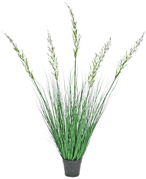 La Planta de Césped Artificial Trigo ignífugo de 120 cm en maceta tiene hojas altas y erguidas y tallos florales, lo que la hace ideal para un interior verde. Esta planta que no requiere mantenimiento agrega un elegante verdor sobre un fondo blanco.