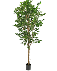 Planta artificial Ficus Verde 240 cm