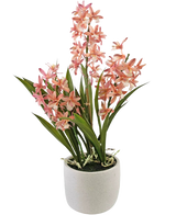 La planta Artificial Cymbidium rosa de 58 cm tiene hojas altas de color verde y racimos de flores de orquídeas rosas y blancas, dispuestas en una sencilla maceta de cerámica blanca, perfecta para alegrar cualquier espacio.