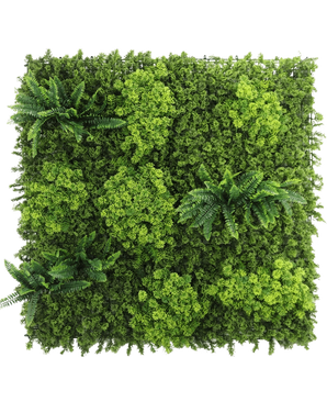 El panel UV Artificial Hedge Moss 100x100 cm tiene un follaje verde denso y variado y varios racimos de hojas parecidas a helechos sobre un fondo blanco.