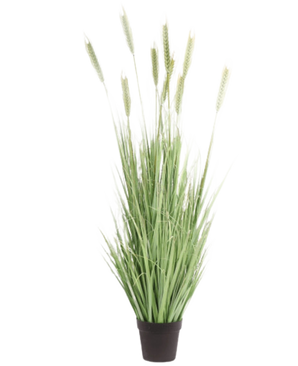 La Planta de Césped Artificial Verde 150 cm ignífugo tiene unas hojas altas y esbeltas de color verde y unos tallos parecidos al trigo, que aportan un aspecto natural en el interior. Esta planta de césped artificial se alza sobre un fondo blanco liso.