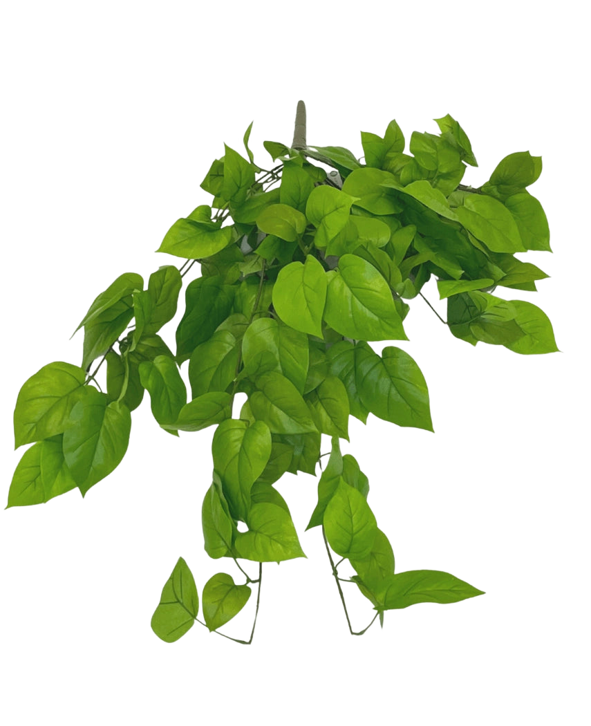 El arbusto artificial Pothos Deluxe de 90 cm tiene hojas de color verde vibrante en forma de corazón sobre tallos delgados, sobre un fondo blanco liso.