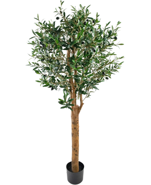 El Olivo artificial UV 155 cm es una planta artificial Easyplants en maceta con un tronco alto de color marrón, hojas verdes densas y pequeñas aceitunas negras, elegante sobre un fondo blanco liso.