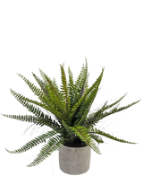 El Helecho Boston Artificial de 48 cm en maceta decorativa es una planta de helecho verde realista presentada en una maceta decorativa de hormigón, sobre un fondo blanco.