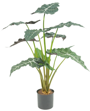 La planta artificial Alocasia UV 67 cm es una planta artificial en maceta con hojas grandes, de color verde oscuro, en forma de flecha y llamativas vetas blancas, representadas sobre un fondo blanco liso.