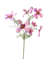Ramo de flor artificial Cosmos 74 cm rosa