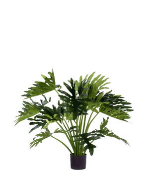 La Planta Artificial Filodendro UV 90 cm tiene hojas verdes grandes y profundamente lobuladas en una maceta, perfecta como planta de interior de bajo mantenimiento para añadir vegetación al interior. Sobre un fondo blanco da un estilo natural sin mantenimiento.