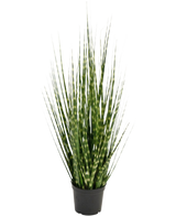La rama de hierba de cebolla Artificial Grass Zebra es una planta artificial ignífuga de 56 cm con hojas verdes largas y estrechas y rayas de color verde claro, que se encuentra erguida en una pequeña maceta negra sobre un fondo blanco.