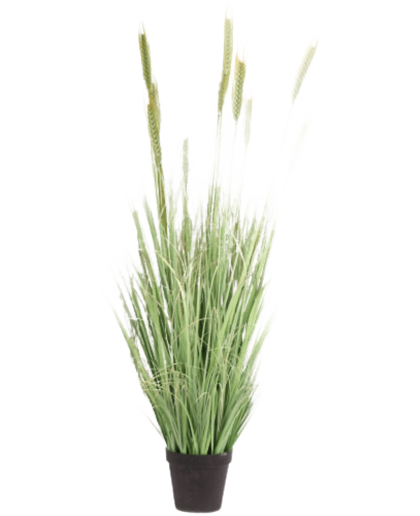 Planta de Césped Artificial Verde ignífugo de 160 cm tiene hojas largas y delgadas y cabezas de semillas en una pequeña maceta negra. Ideal como planta artificial elegante e ignífuga para cualquier habitación.