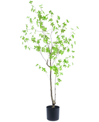 Planta artificial Enkianthus 150 cm