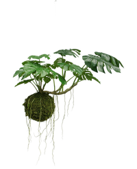 Planta colgante artificial Monstera Deluxe 60 cm