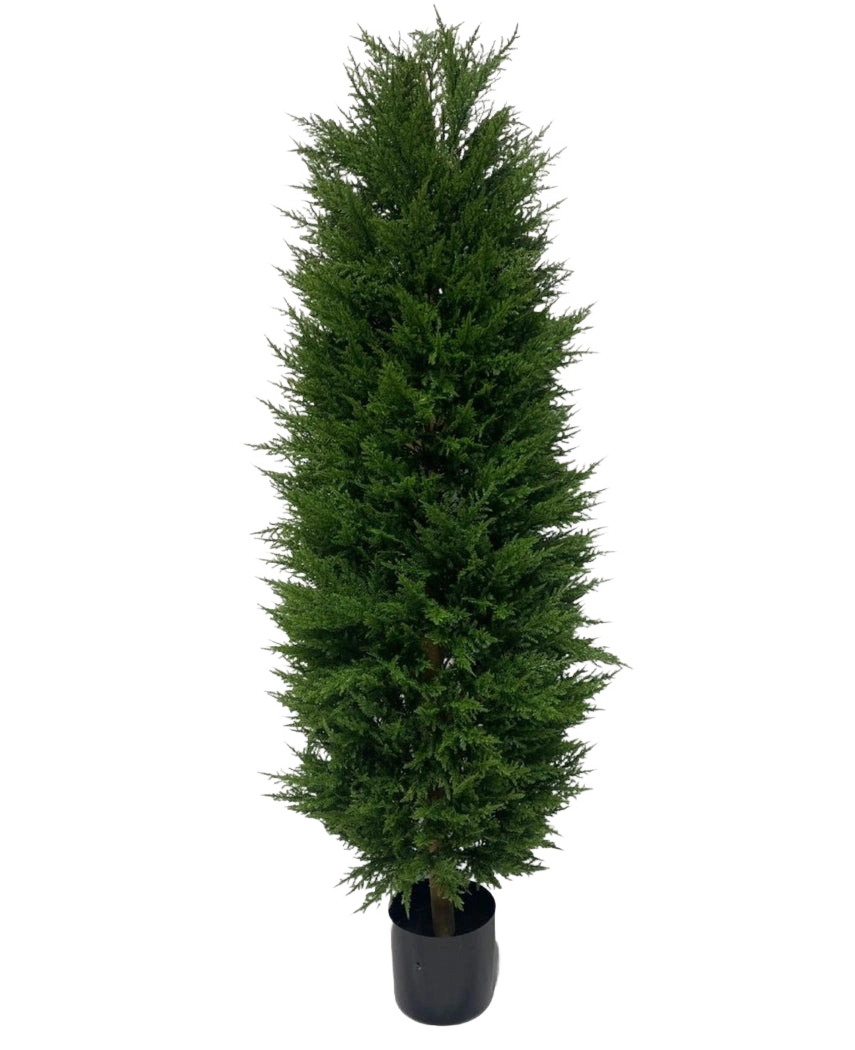 La planta artificial Conífera UV 180 cm es un árbol artificial de hoja perenne, alto y estrecho, con hojas densas de color verde oscuro, representadas sobre un fondo blanco.