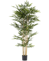 De Kunstplant Bamboe 210 cm is een hoge kunstbamboeplant met weelderige groene bladeren en lichtbruine stengels in een kleine zwarte pot, afgebeeld tegen een witte achtergrond.