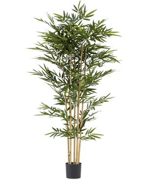 De Kunstplant Bamboe 210 cm is een hoge kunstbamboeplant met weelderige groene bladeren en lichtbruine stengels in een kleine zwarte pot, afgebeeld tegen een witte achtergrond.