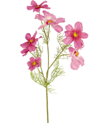 Ramo de flor artificial Cosmos 74 cm fucsia
