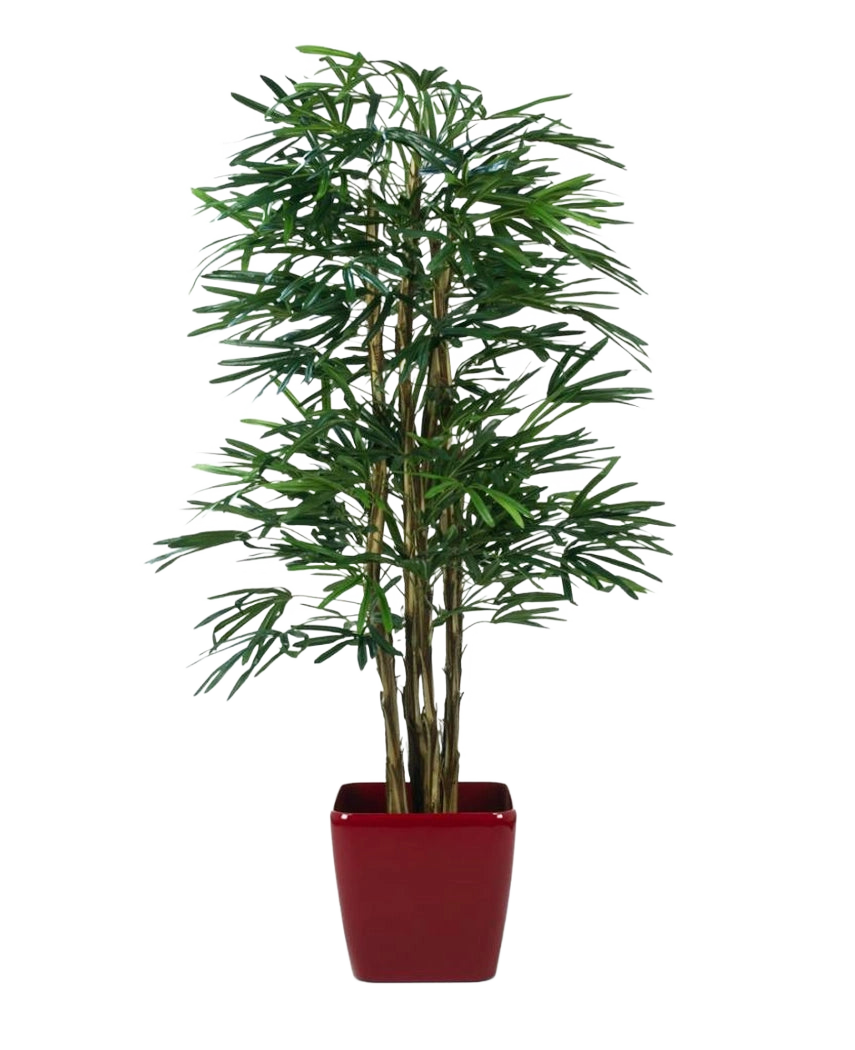 La Lady Artificial Palm de 180 cm es una palmera artificial alta con múltiples tallos de hojas verdes, expuesta en una maceta cuadrada de color rojo brillante sobre un fondo blanco liso.