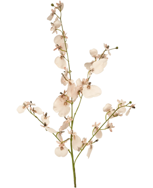 La Orquídea Rama Artificial 80 cm rosa tiene un único tallo de orquídeas artificiales de color rosa claro con múltiples flores y pequeños cogollos sobre finas ramas verdes, sobre un sencillo fondo blanco.