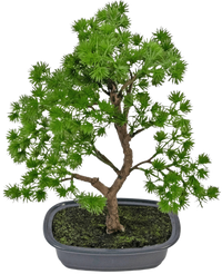 Planta artificial Bonsai Juniper 30 cm