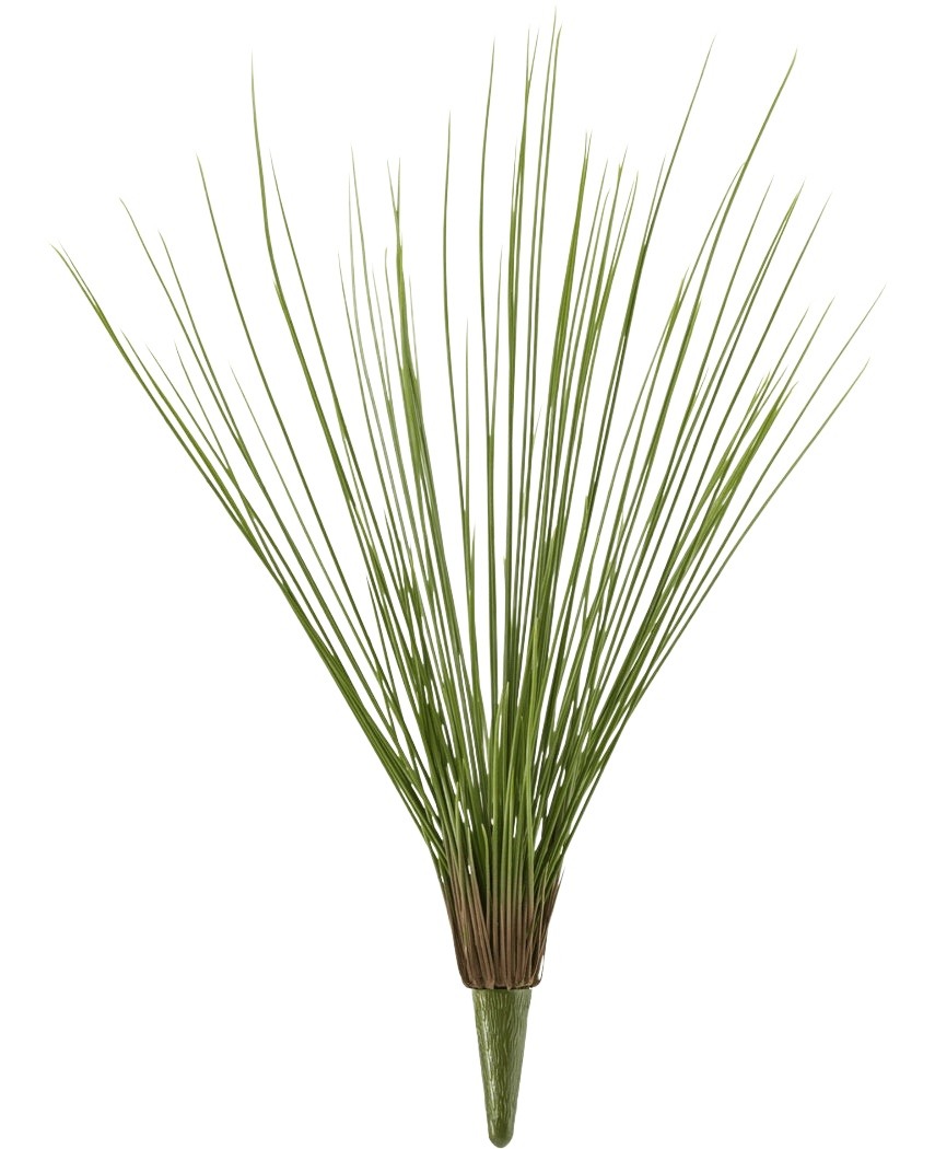 La planta de césped artificial Royal Grass UV 60 cm tiene tallos altos, finos y verdes de césped artificial que se agrupan en la base y se abren en abanico hacia afuera, sobre un fondo blanco liso.