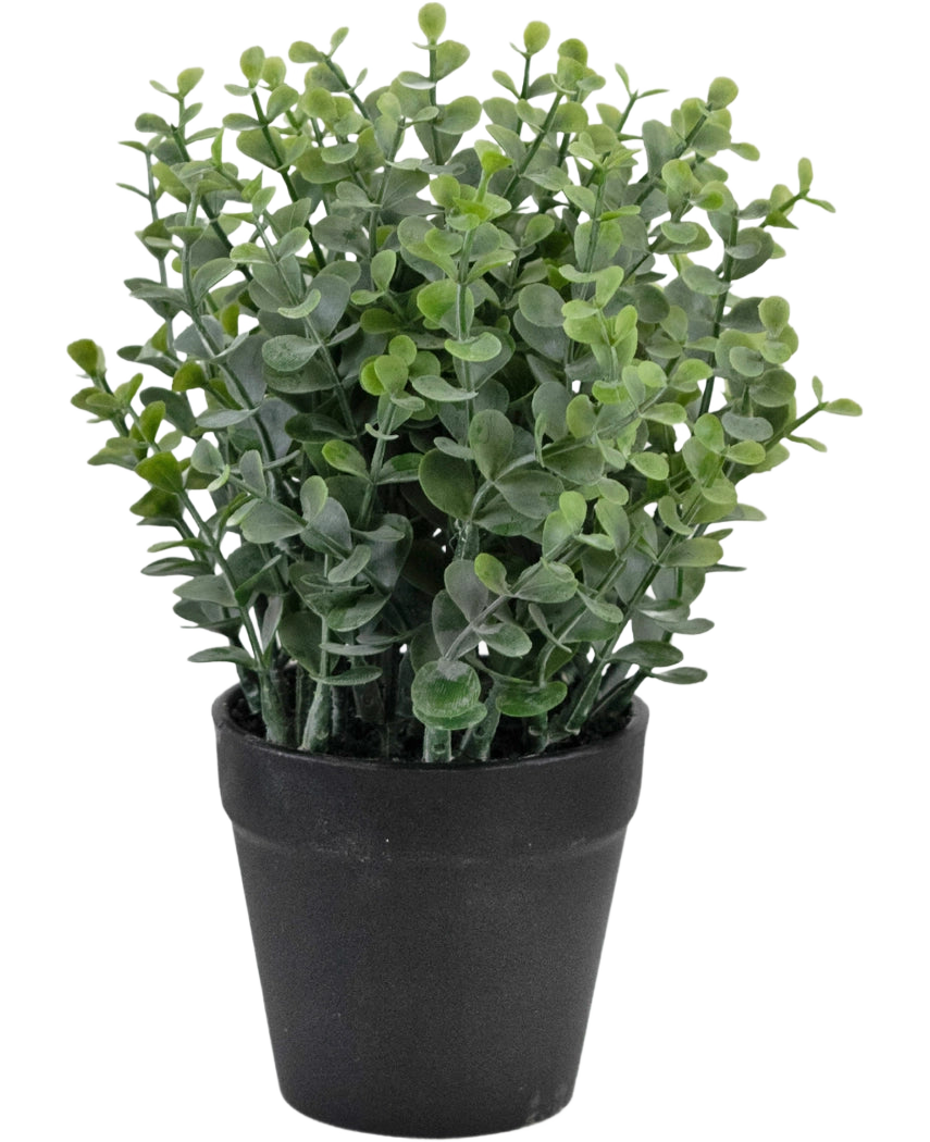 La Planta Artificial Pumila de 23 cm es una pequeña planta verde en maceta con hojas redondas en una sencilla maceta negra, representada sobre un fondo blanco.